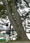 캐면 백합, 걸리면 숭어·농어·우럭
