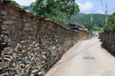 [환경사진] 학을 닮은 옛 돌담 길
