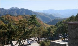 가을 산행에 머무는 발길, 제천 리솜포레스트로 떠나다.