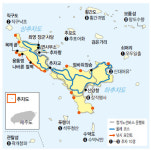 손맛·입맛 다 봤으면 추자올레 눈맛기행