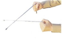 갈라진 벽, 시들어가는 나무 은근히 걱정되는 수맥