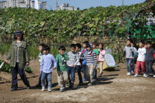 ‘유기농 올림픽’ 25만명 찾았다