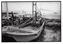 [전시회] 사진의, 사진에 의한, 사진을 위한 마지막 1년