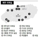 감귤꽃길·추사 유배길…제주 ‘걷는 맛’ 끝이 없네