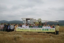 고흥만간척지 조사료 종자 채종포 시험재배 성공