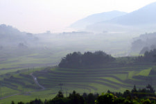 청산도에 ‘유기농 생태마을’