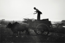 [전시회] 시인이 찍은 사진엔 시가 흐른다
