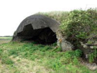 ‘일제때 제주 군사유적 교과서에 실어주오’