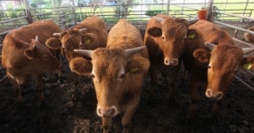 음악 듣고 뛰어놀며 건강하게 자라다오