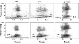 [환경뉴스] 인도코끼리 코식이는 ‘외로움’ 때문에 말을 하기 시작했다