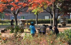 도서관이 산으로 간 까닭은?