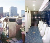 화장실은 돌고 돈다