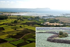 거친 바람 품어내는 ‘밭담’ 너그러운 제주인 닮았네