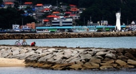 [강의실] 물 흐르듯 혹은 톡톡 튀듯