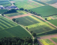 [뉴스룸] 빠름빠름의 시대에 눈길 끄는 느린 과학들