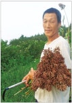 퇴비도 안썼지만 땅은 끝내 생명을 틔우더라