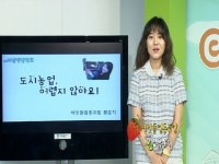 도심텃밭 ‘레알’ 삽질 노하우 여기 다 모았소