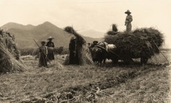한국전때 북 수용소 고초 겪고도 북한 의료 지원