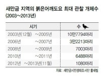 [환경뉴스] 10년 조사 시민의 힘, 끝나지 않은 새만금