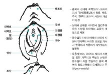[환경뉴스] 지속가능한 토지관리 풍수는 과학이다