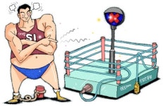 SI업체 ‘외국계 독식’은 기우였다…중견기업, 상생 과제 떠안아