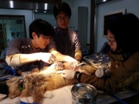 야생동물에 ‘인술’ 펴는 지리산 야전병원