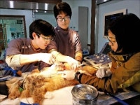[환경뉴스] 야생동물에 ‘인술’ 펴는 지리산 야전병원