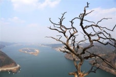 싱숭생숭 봄 마음, 바람꽃 보다 바람 들라