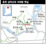 싱숭생숭 봄 마음, 바람꽃 보다 바람 들라