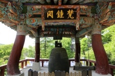 울퉁불퉁 세월의 굳은살이 전하는 위로