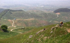 울퉁불퉁 세월의 굳은살이 전하는 위로