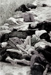그것은 미친 살인의 축제였다