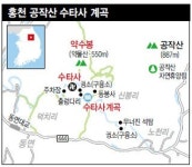 아늑하고 깊은 숲길 더위가 들어올 틈 없네