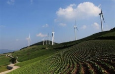 서늘한 바람 맞으며 한여름 꽃바다로 달려가볼까