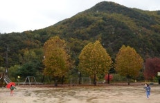 ‘없어질 수 없는 학교’ 삼가분교 이야기