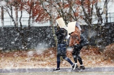 [포토] 올해 서울에 첫눈 내리다