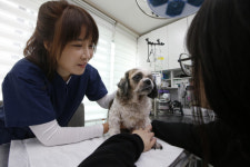 ‘퍼피 붐’ 이후 10여년 동고동락…늙은 반려견 부양하는 2030세대