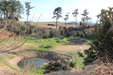 [세상 읽기] 제주 오름에 올라 4·3을 추념하다 / 윤태웅