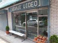 노랑·분홍 작은 들꽃, 아늑한 골목…숨은 풍경 찾기