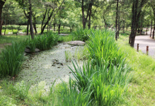 한겨레신문사 옆 ‘효창공원’을 아시나요?