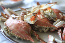 태안군 별미 ‘게국지’…소박한 농가밥상도 강추