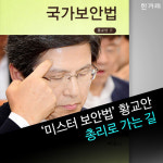 [카드뉴스] ‘미스터 보안법’ 황교안, 총리로 가는 길