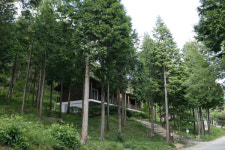 강남 아파트 청약 경쟁률 뺨치는 자연 휴양림은 어디?