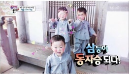 휴가철 아이와 떠나기 좋은 템플스테이 사찰 5선