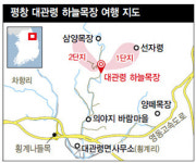 40년 만에 개방된 대관령 하늘목장…달려봐! 하이디처럼