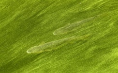  한겨레 김봉규 기자 ‘이달의 보도사진상’ 