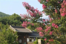 섬진강 물길 따라 ‘집밥 향기’도 흐른다네