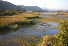 상처 견딘 물길에 가을은 깊어간다