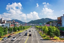 구미시, 10년간 나무 1000만그루 심었다