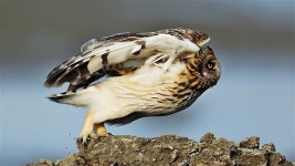 [렌즈세상] 내 눈에 빠져 봐